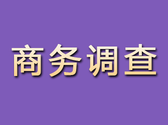 阜平商务调查